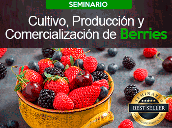 Cultivo, Producción y Comercialización de Berries